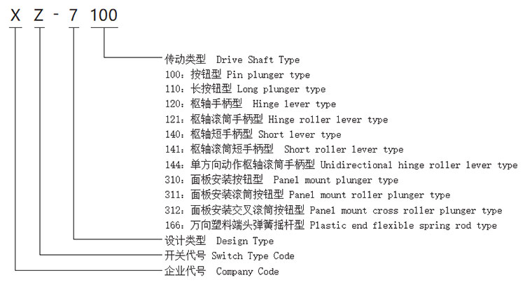 Micro Limit Switch Model & Meanings 